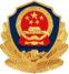 police-icon